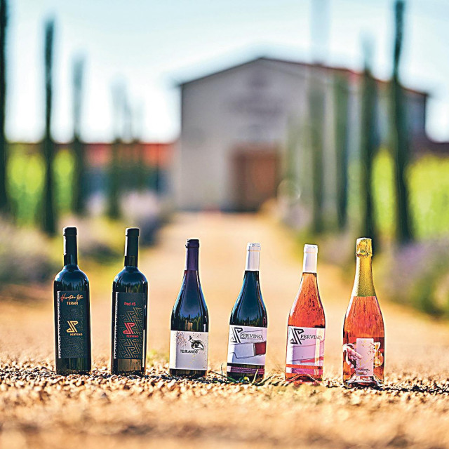 Vrhunska vina iz Istre