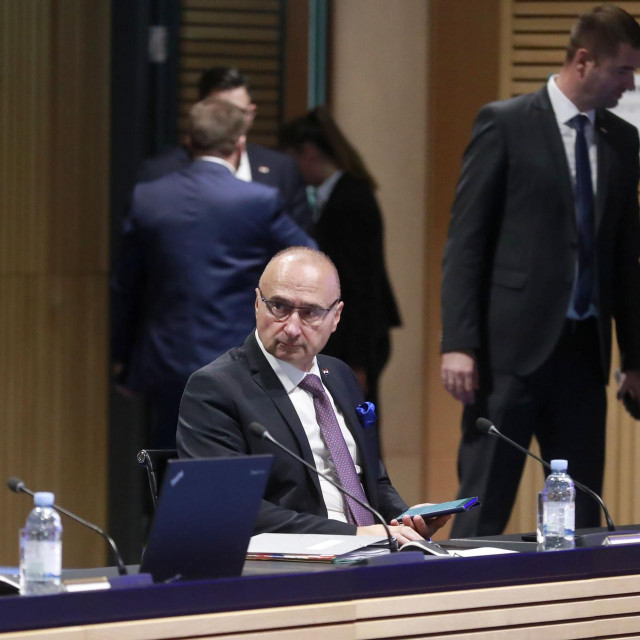 Gordan Grlić Radman