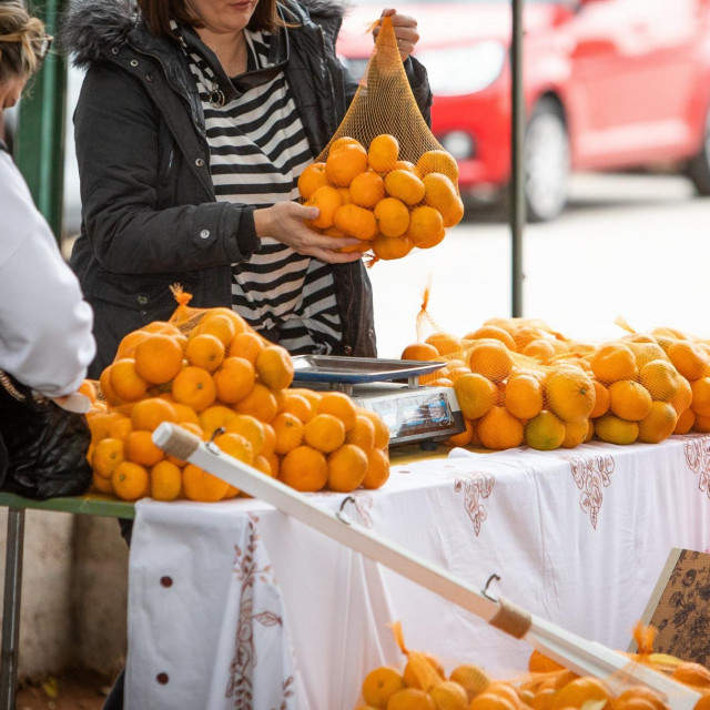 Mandarine/Ilustracija