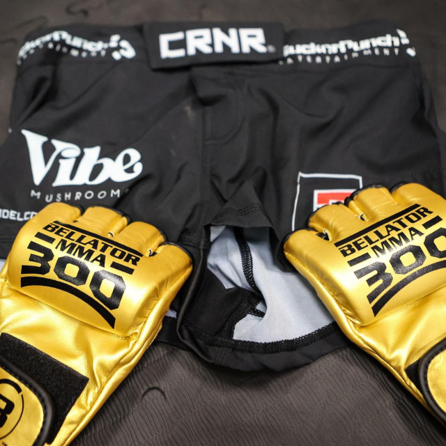 Bellator MMA 300 