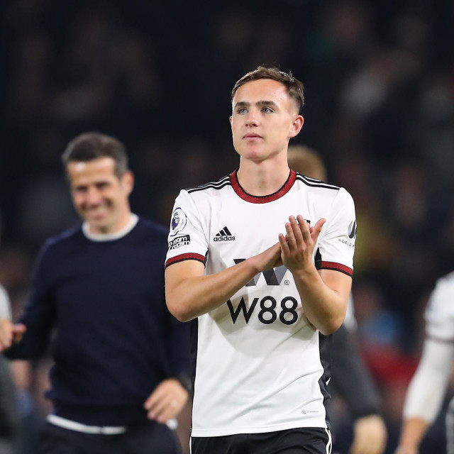 Fulhamov tinejdžer Luke Harris mogao bi debitirati za Wales