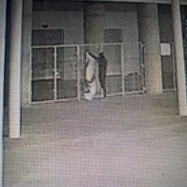 Snimka nadzornih kamera na Opus Areni