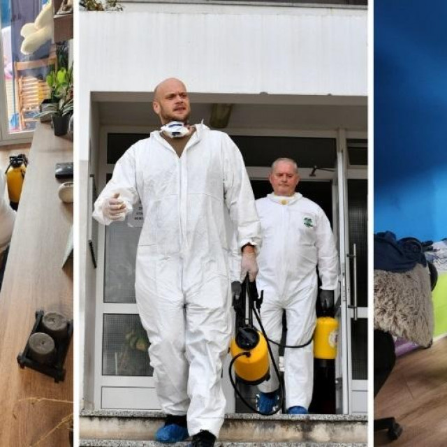 Dezinsekcija stjenica u Rijeci