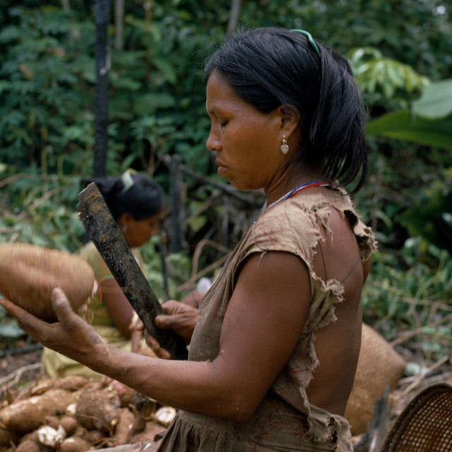 Ilustrativna fotografija