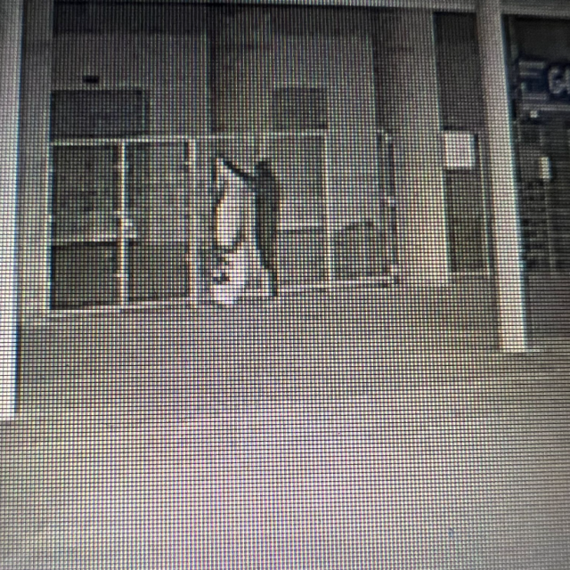 Snimka nadzornih kamera na Opus Areni