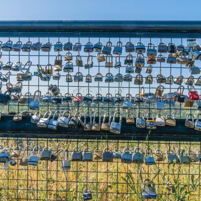 Lokoti u nacionalnom parku Grand Canyon