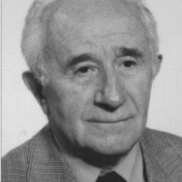 Akademik Berislav Topić