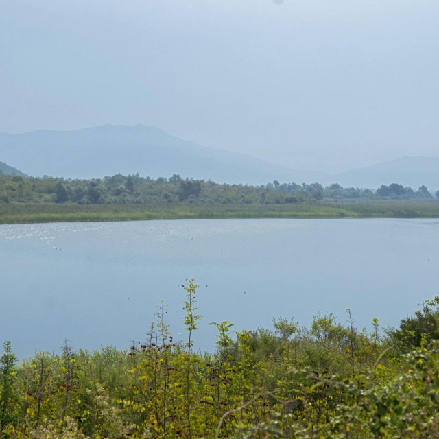 Hutovo blato (arhivska fotografija)