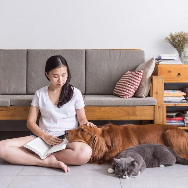 Image: 351912267, License: Royalty-free, Restrictions:, Model Release: yes, Credit line: dongshan chen/Alamy/Alamy/Profimedia