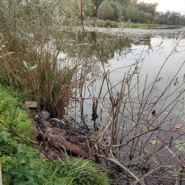 Uništeni hotel za kukce
 