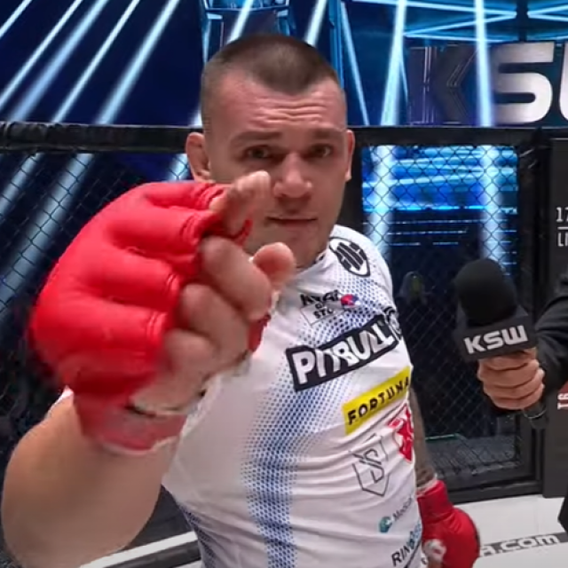Darko Stošić