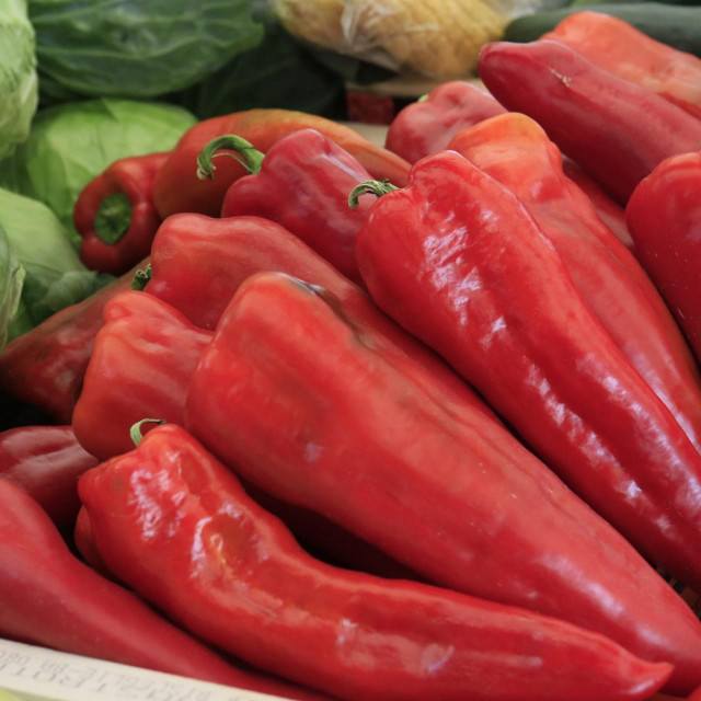 Crvena paprika