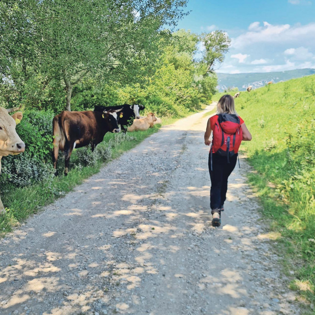 staza kroz ugroženi Park prirode Hutovo blato
