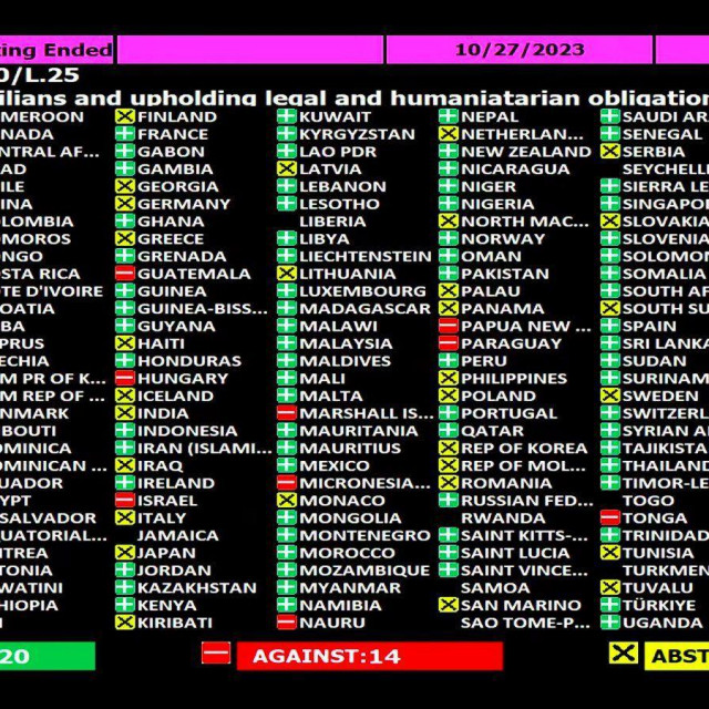 Glasovanje u Ujedinjenim narodima