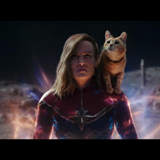 Brie Larson kao Carol Danvers