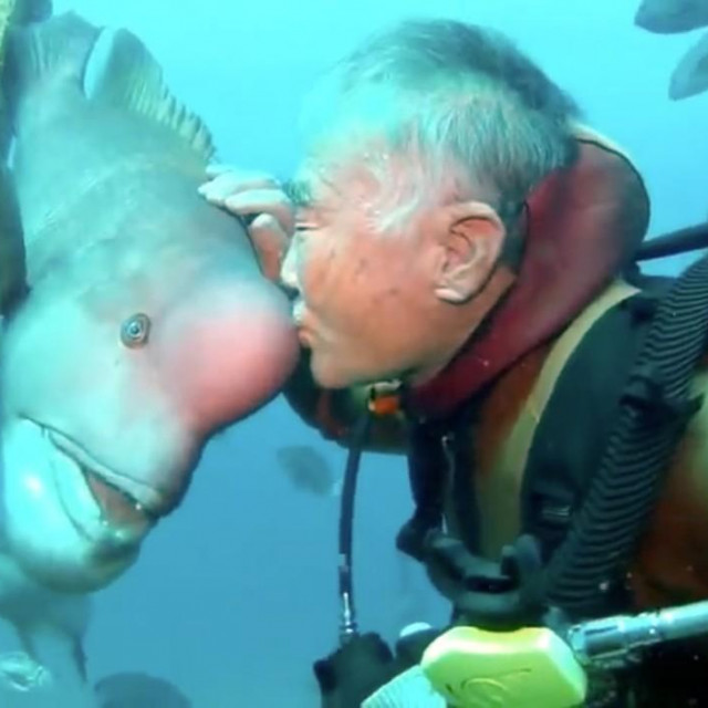 Hiroyuki Arakawa i  Yoriko