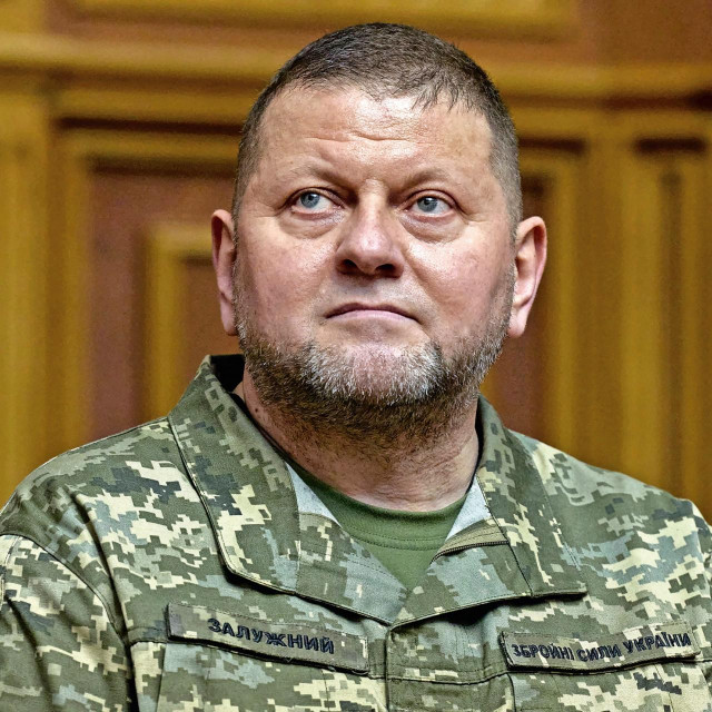 Valerij Zalužnji