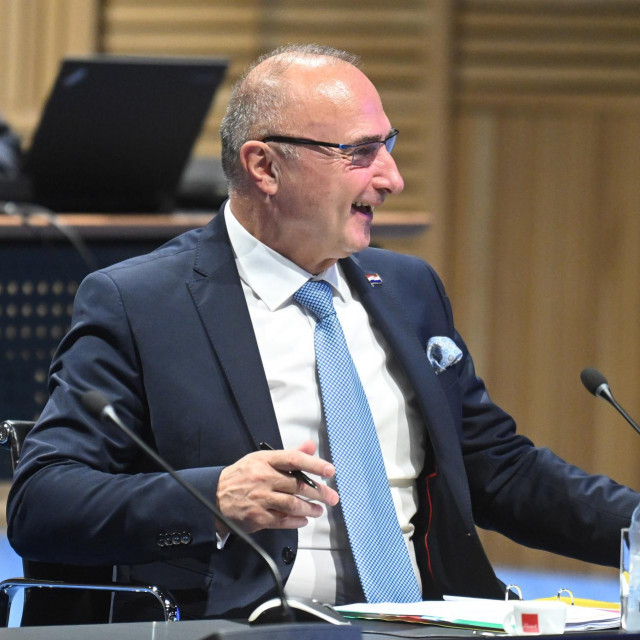 Gordan Grlić Radman