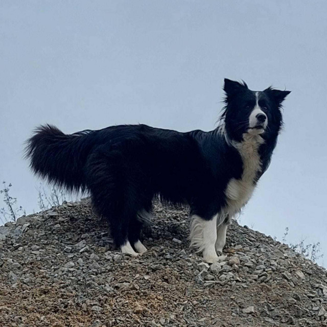 Maša na ispitu 2022. godine