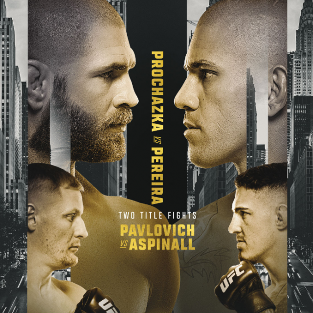 UFC 295