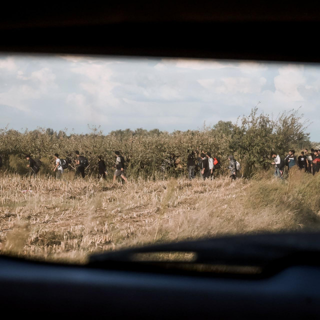 Migranti na granici Mađarske i Srbije
