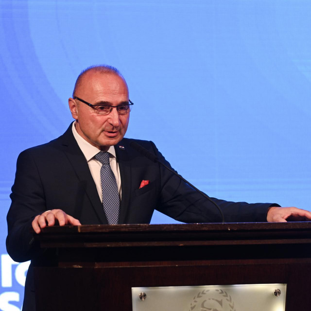 Gordan Grlić Radman