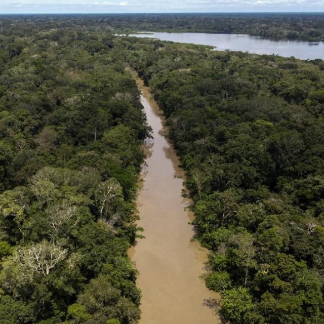 Brazilska Amazonija