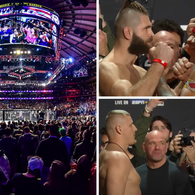 UFC 295