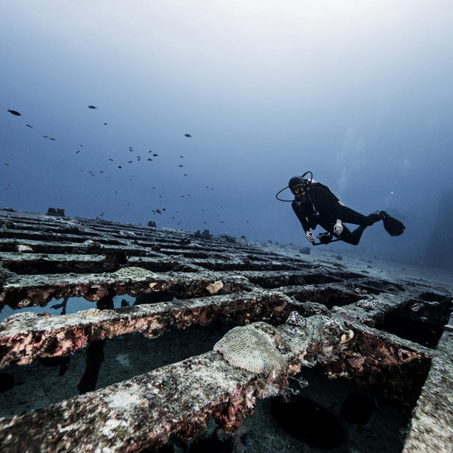 Ilustrativna fotografija