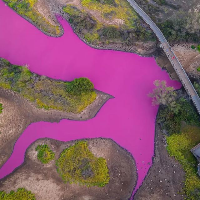 Kealia Pond roze boje u Havajima