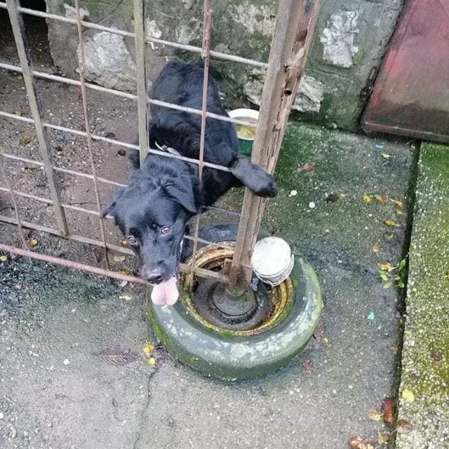 U ovom očaju živi tri godine