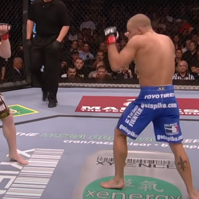Matt Hughes i Georges St-Pierre