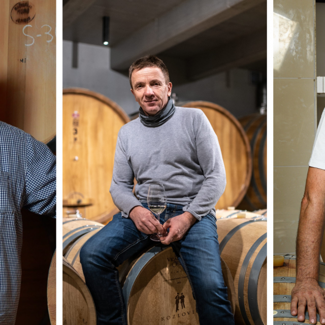 Vlado Krauthaker, Gianfranco Kozlović, Luka Krajančić