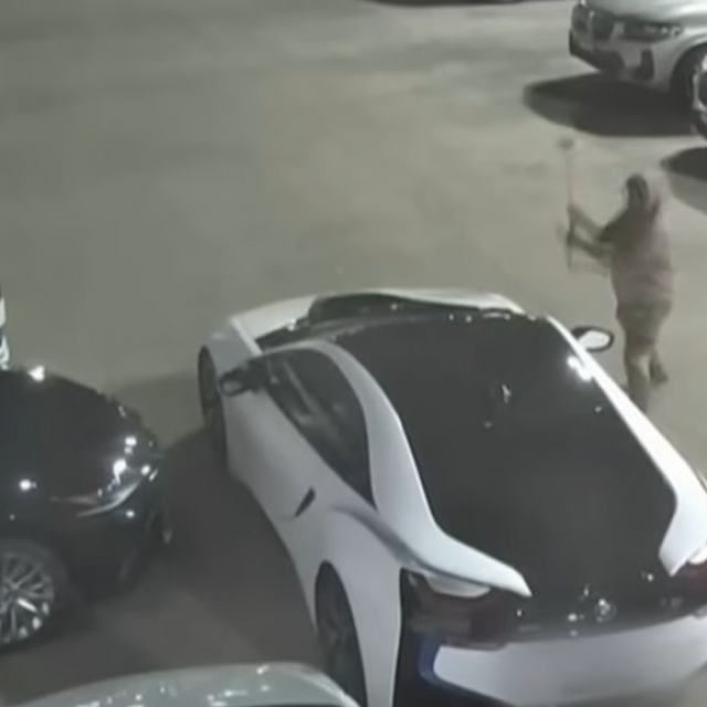 Manijak razbija aute