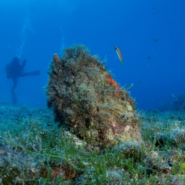 Ilustracija, periska

 