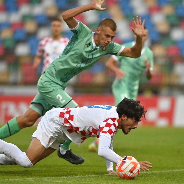 Roko Šimić