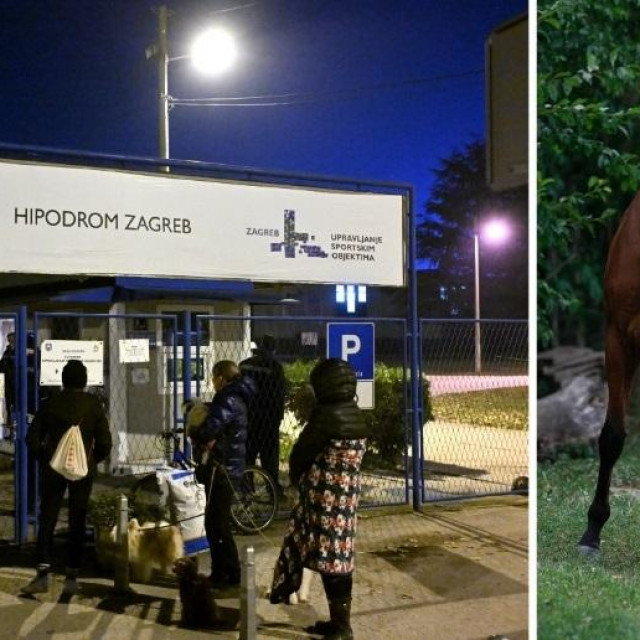 Djevojke koje se brinu o konjima pred zaključanim vratima (lijevo), Enimark Ponjević (desno)