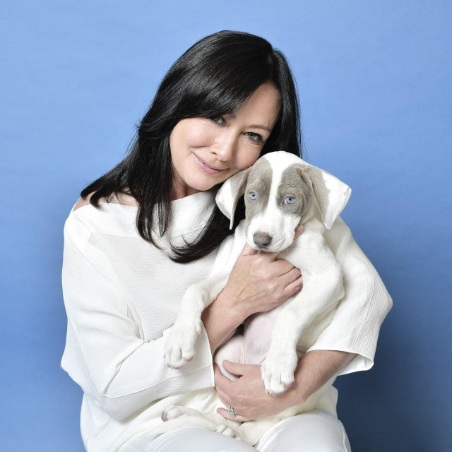 BEVERLY HILLS, CALIFORNIA - OCTOBER 05: Shannen Doherty poses for a portrait in the Getty Images & People Magazine Portrait Studio at Hallmark Channel and American Humanes 2019 Hero Dog Awards at the Beverly Hilton on October 05, 2019 in Beverly Hills, California. Neilson Barnard,Image: 475811312, License: Rights-managed, Restrictions:, Model Release: no, Credit line: Neilson Barnard/Getty images/Profimedia
