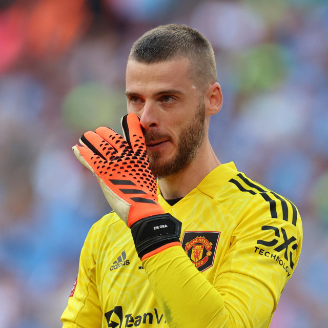 David De Gea