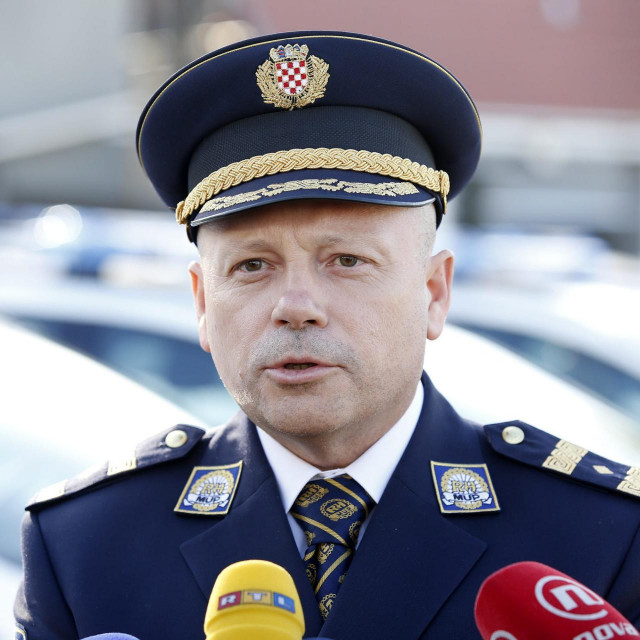 Načelnik Davor Posilović