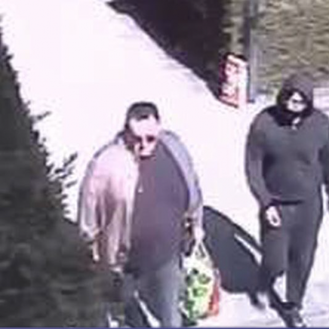 Vladimir Jovančić pretvarao se da je dostavljač