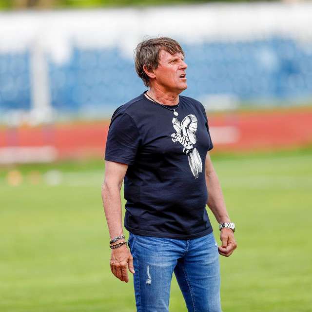 Davor Mladina