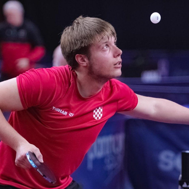 Borna Petek (Zagreb)