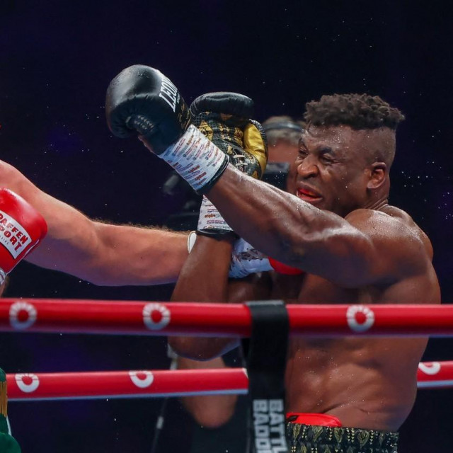 Tyson Fury (lijevo) i Francis Ngannou (desno)