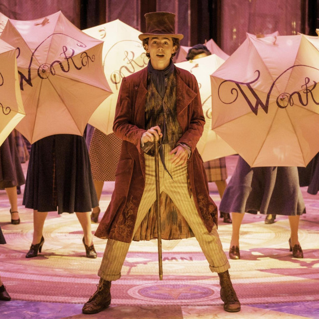 Timothee Chalamet, Warner Bros, Wonka