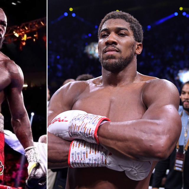 Wilder i Joshua