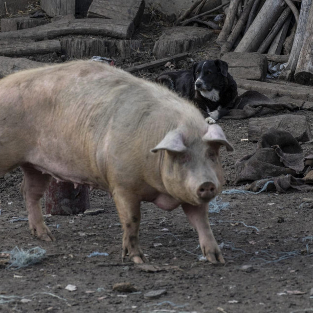 Ilustrativna fotografija