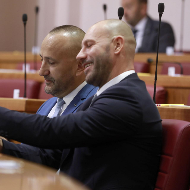 Hrvoje Zekanović, Damir Habijan