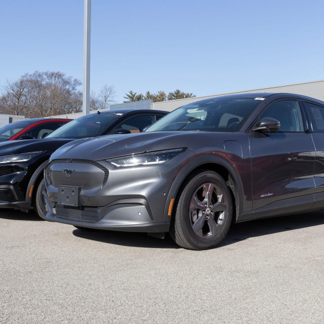 Ford Mustang Mach-e (ilustracija)