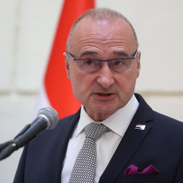 Gordan Grlić Radman
